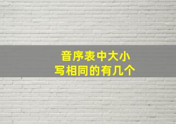 音序表中大小写相同的有几个