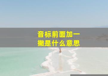 音标前面加一撇是什么意思