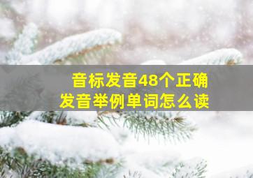 音标发音48个正确发音举例单词怎么读