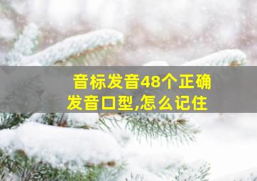 音标发音48个正确发音口型,怎么记住