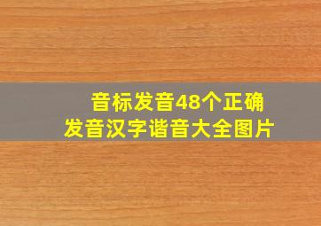 音标发音48个正确发音汉字谐音大全图片