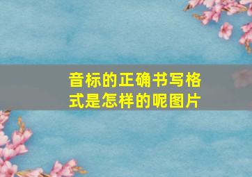 音标的正确书写格式是怎样的呢图片