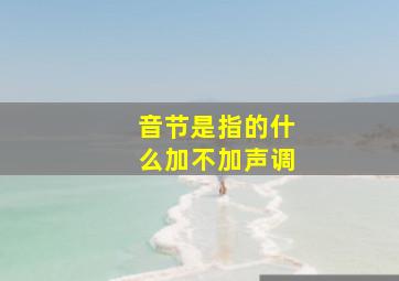 音节是指的什么加不加声调