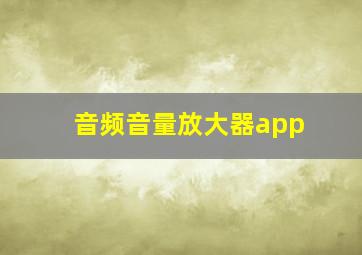 音频音量放大器app