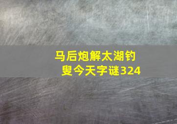 马后炮解太湖钓叟今天字谜324