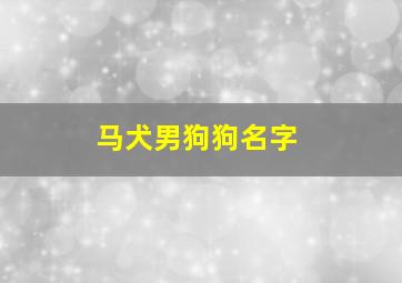 马犬男狗狗名字