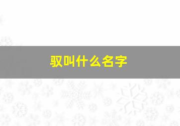 驭叫什么名字