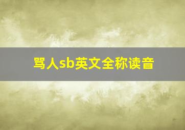 骂人sb英文全称读音