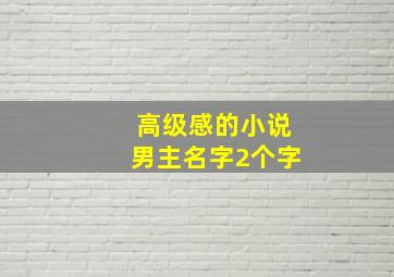 高级感的小说男主名字2个字