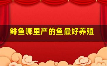 鲱鱼哪里产的鱼最好养殖