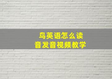 鸟英语怎么读音发音视频教学