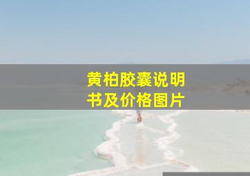 黄柏胶囊说明书及价格图片