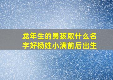 龙年生的男孩取什么名字好杨姓小满前后出生