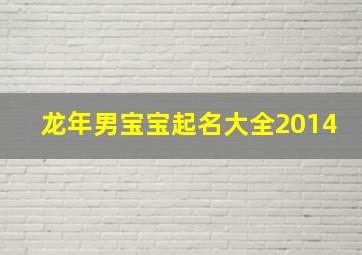 龙年男宝宝起名大全2014