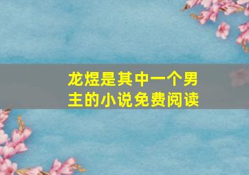 龙煜是其中一个男主的小说免费阅读