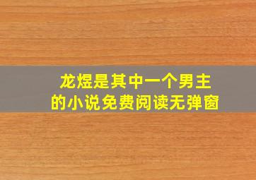 龙煜是其中一个男主的小说免费阅读无弹窗