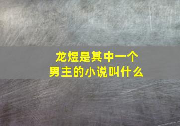 龙煜是其中一个男主的小说叫什么