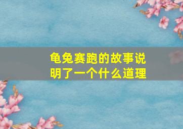 龟兔赛跑的故事说明了一个什么道理