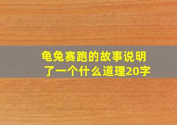 龟兔赛跑的故事说明了一个什么道理20字